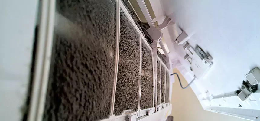 Preventive Air Duct Bacteria Removal in Radford