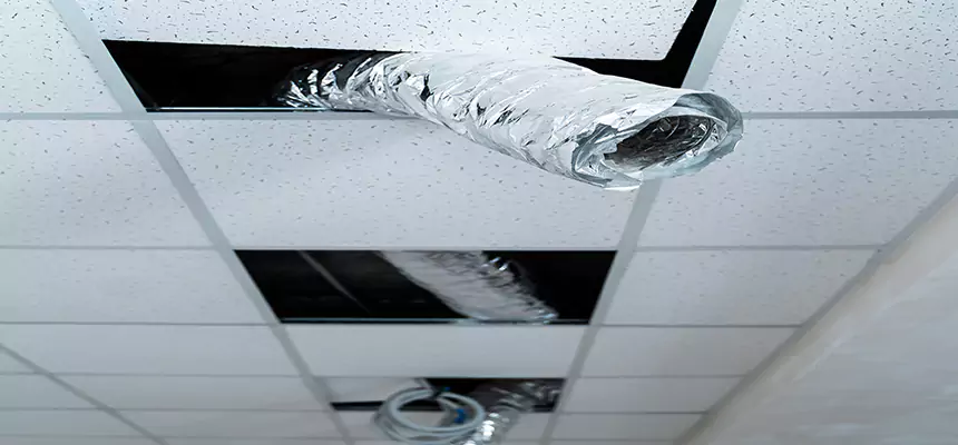 Affordable HVAC Sanitizing After Pest Removal in Radford