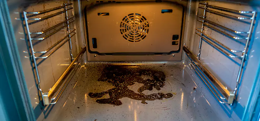 Our Dryer Vent Mold Cleaning Services in Radford, VA