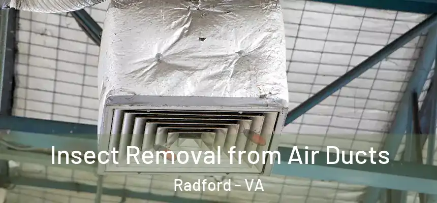  Insect Removal from Air Ducts Radford - VA