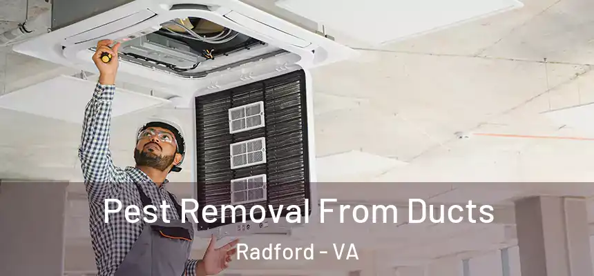  Pest Removal From Ducts Radford - VA