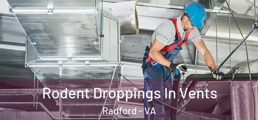  Rodent Droppings In Vents Radford - VA