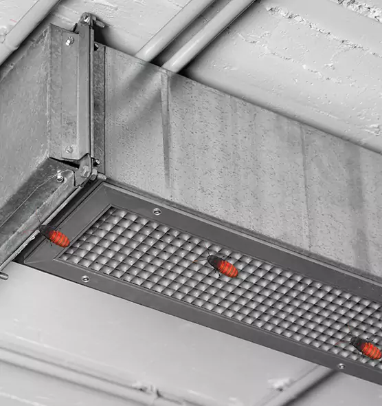 About Air Duct Cockroach Removal in Radford, VA