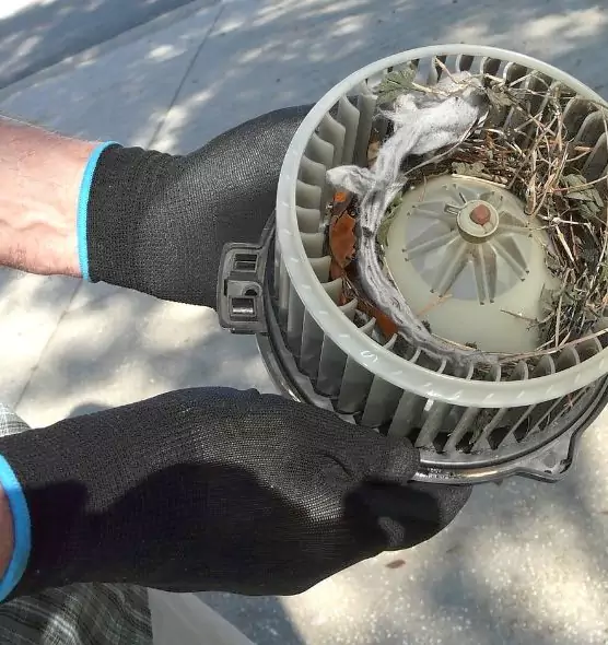 About Air Duct Rat Removal in Radford, VA