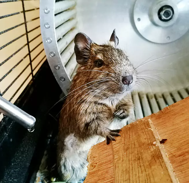 Why Homeowners & Businesses Trust Us Radford, VA?