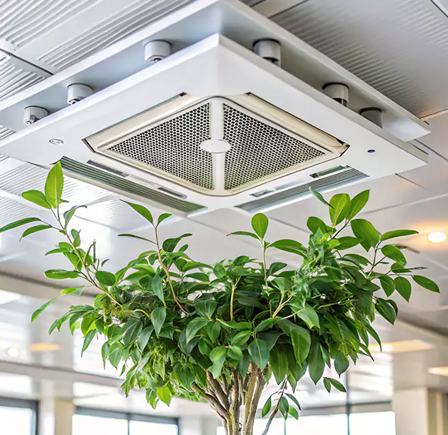 Why Homeowners & Businesses Trust Us in Radford, VA?