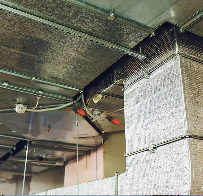 Why Homeowners & Businesses Trust Us Radford, VA?